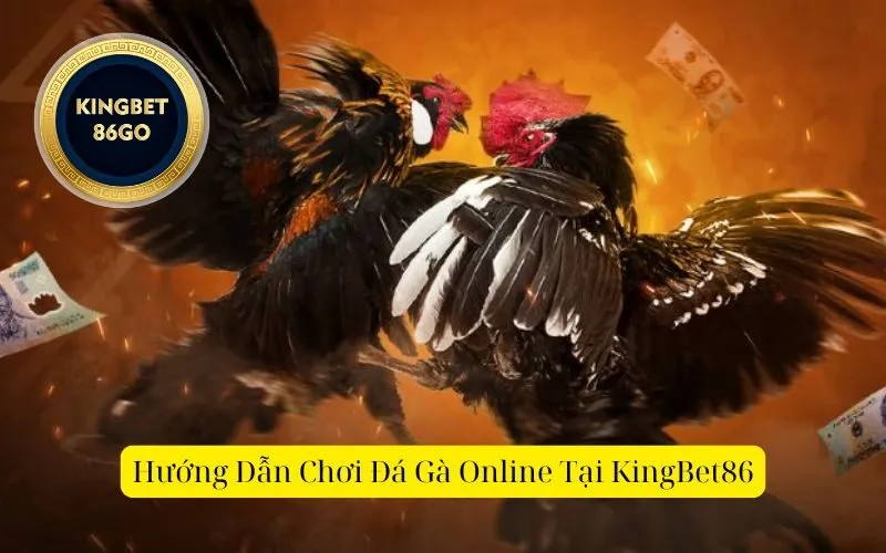 Hướng Dẫn Chơi Đá Gà Online Tại KingBet86